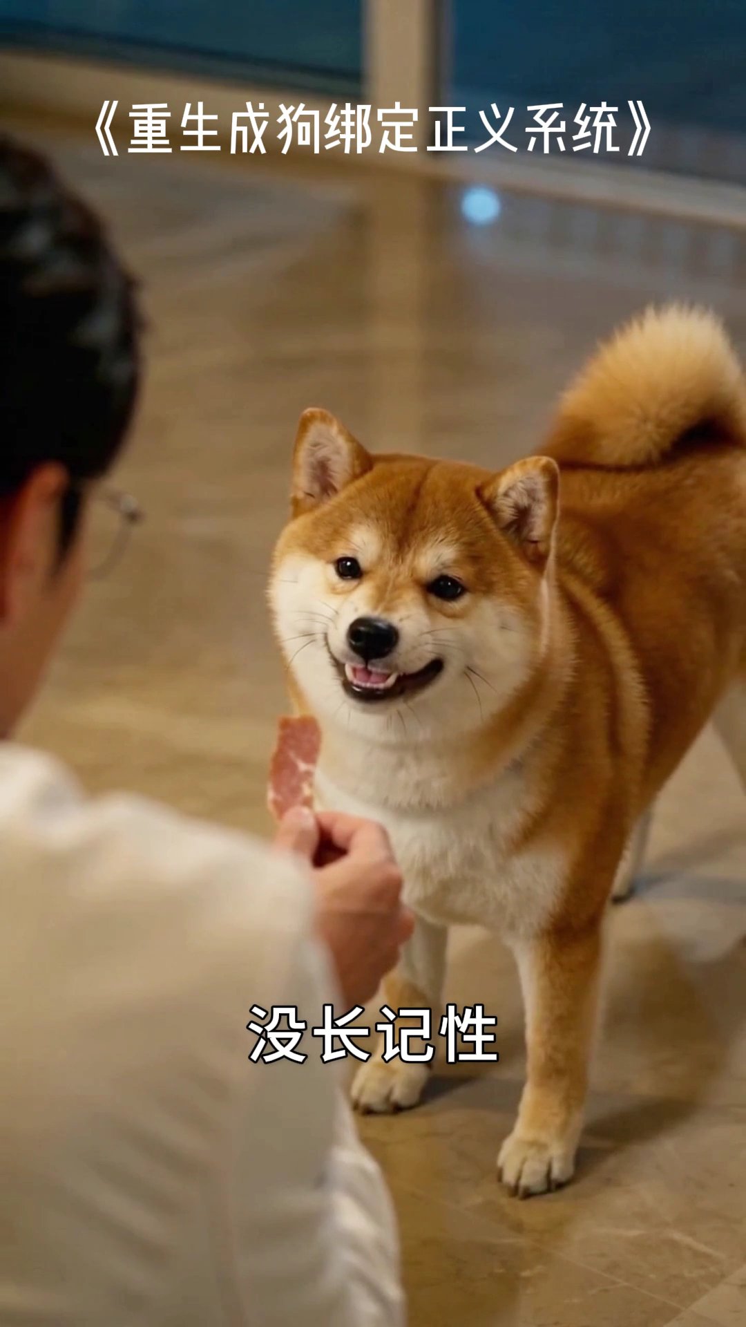 重生成狗绑定正义系统